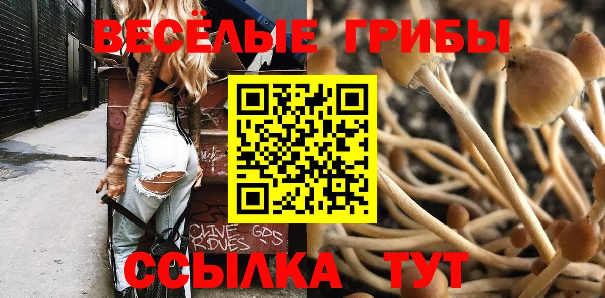 Псилоцибиновые грибы MAGIC MUSHROOMS Киров